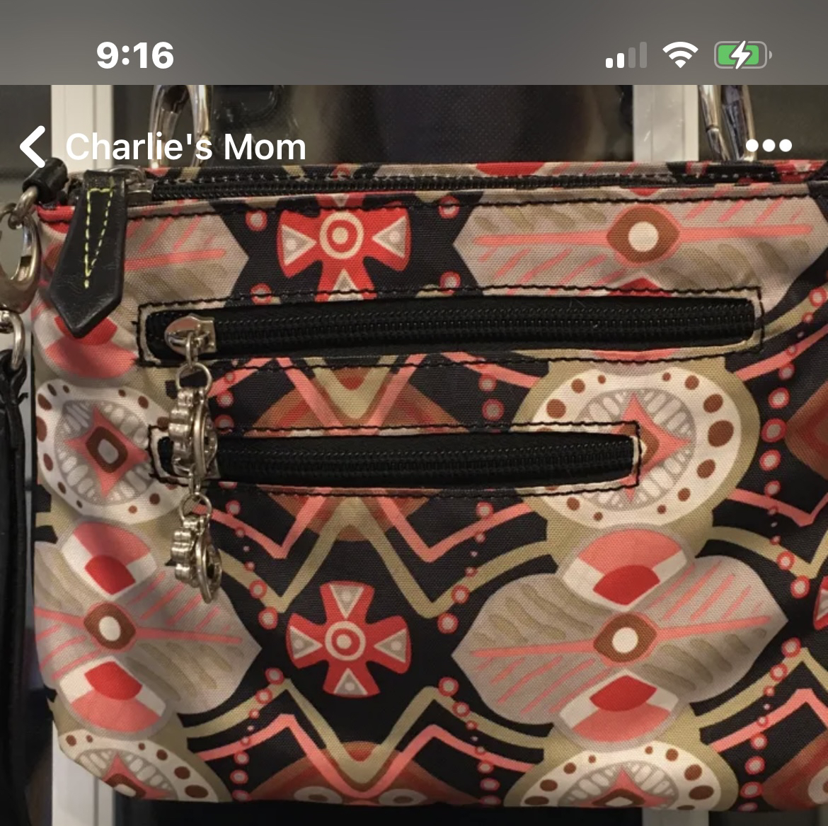 ✨✨Joanel Cross Body Bag image indicator(8)