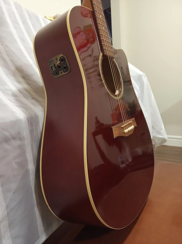 Seagull Entourage Acoustic-Electric Burgundy CW GT QI