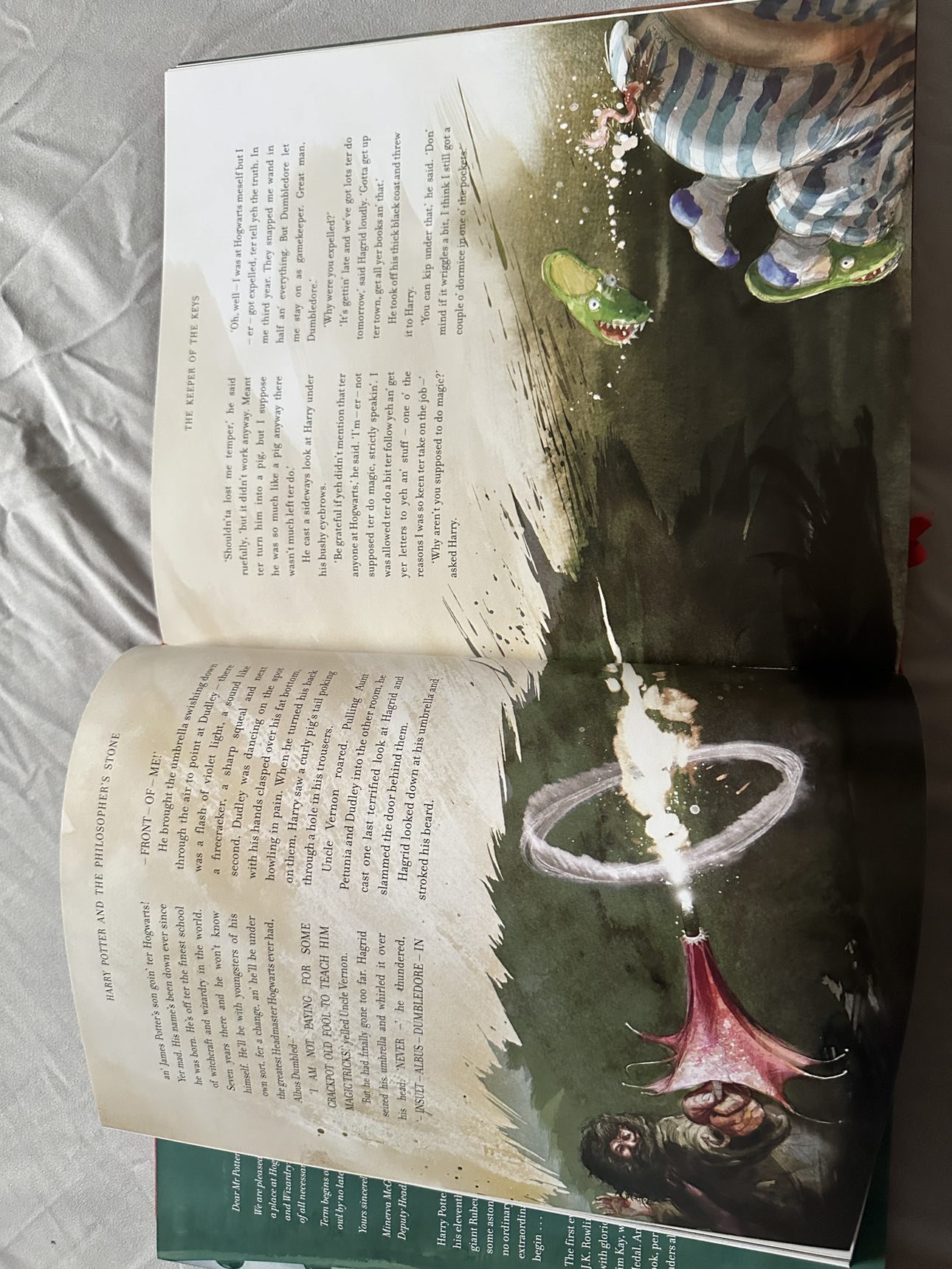 Harry Potter & the Philosopher’s Stone Illustrated Collector Ed. - photo 4