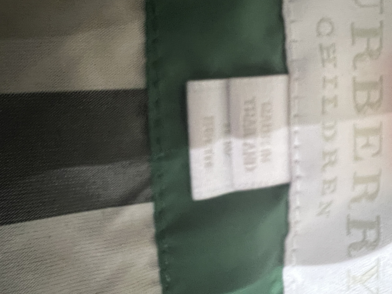 Kids Burberry coat image indicator(5)