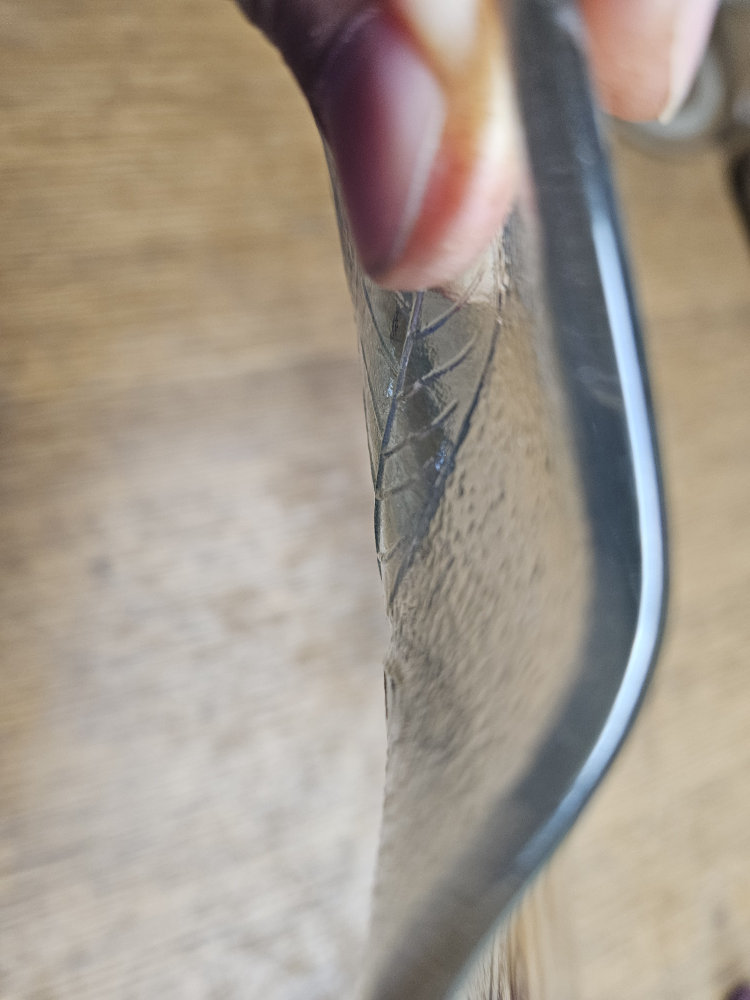 round glass tray - photo 4