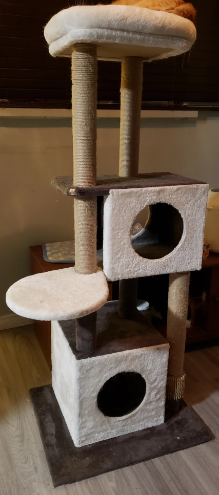 56" Adult Cat Tree