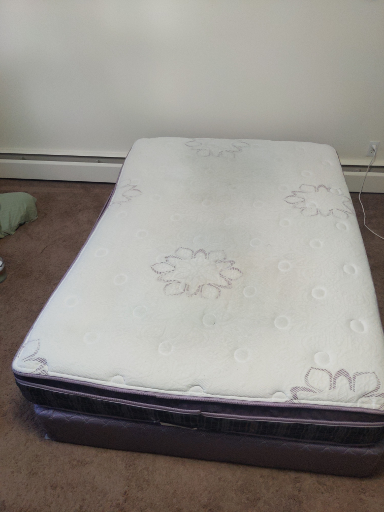 Double/Full mattress and box spring. 100$ OBO