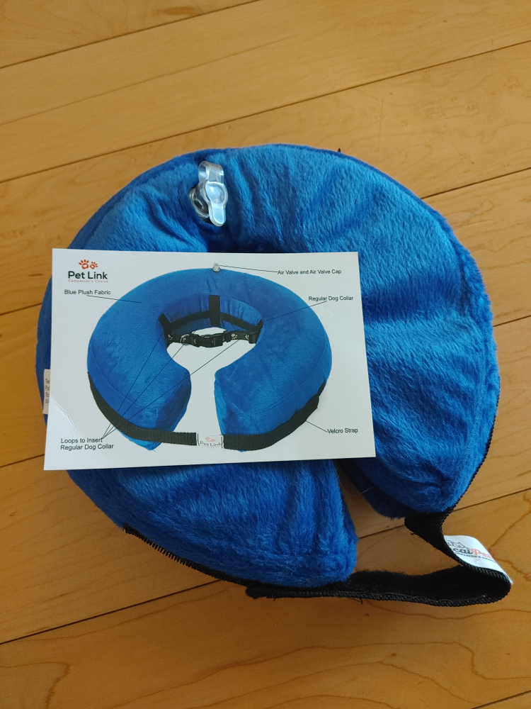Inflatable Small Size Dog Collar for Recovery