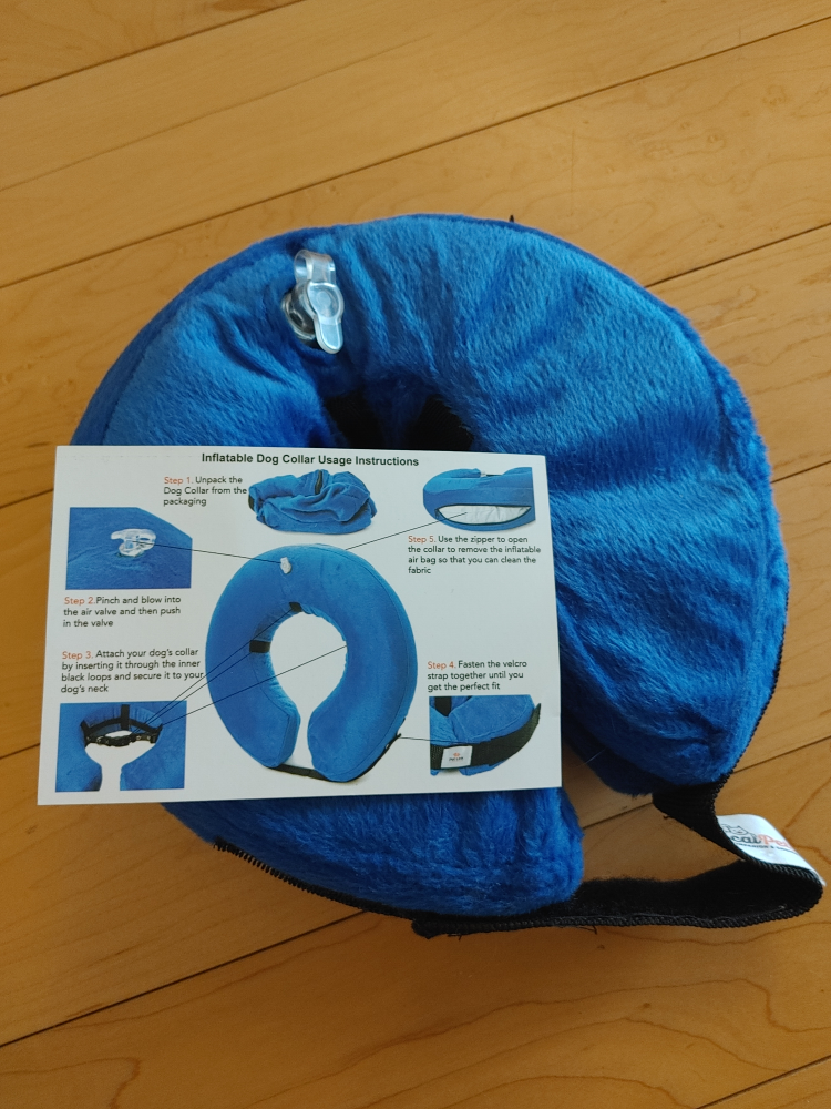 Inflatable Small Size Dog Collar for Recovery - photo 2