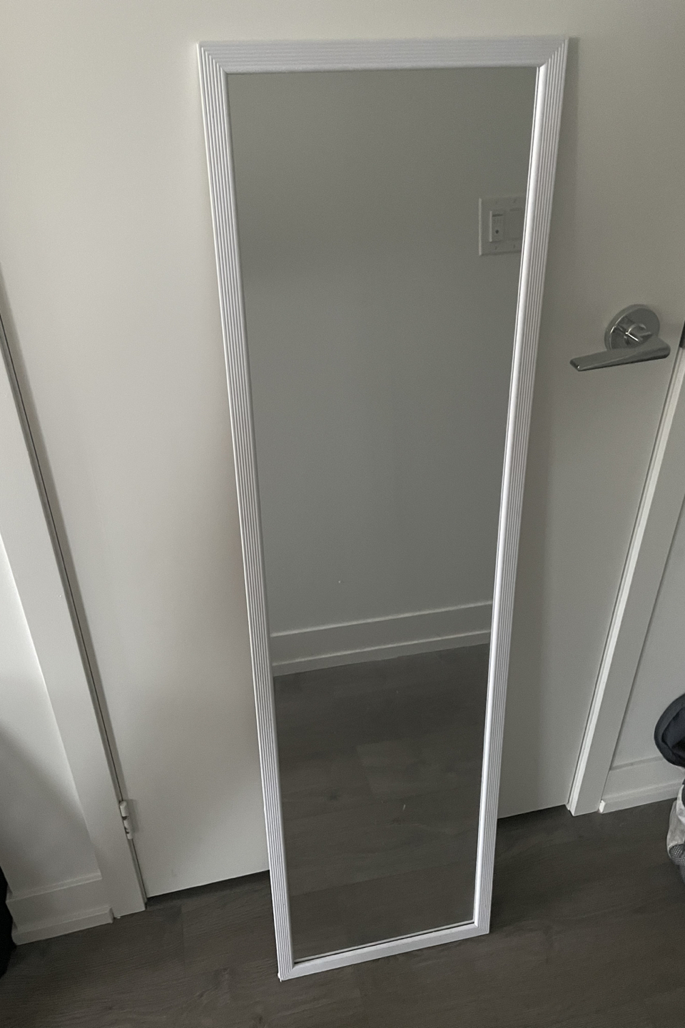 Door mirror