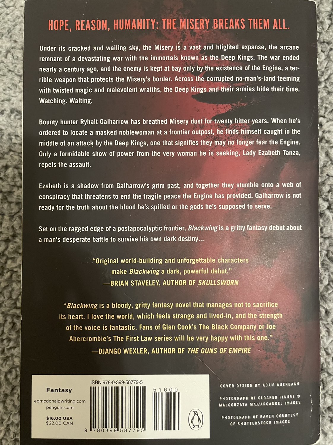 Novel image indicator(2)