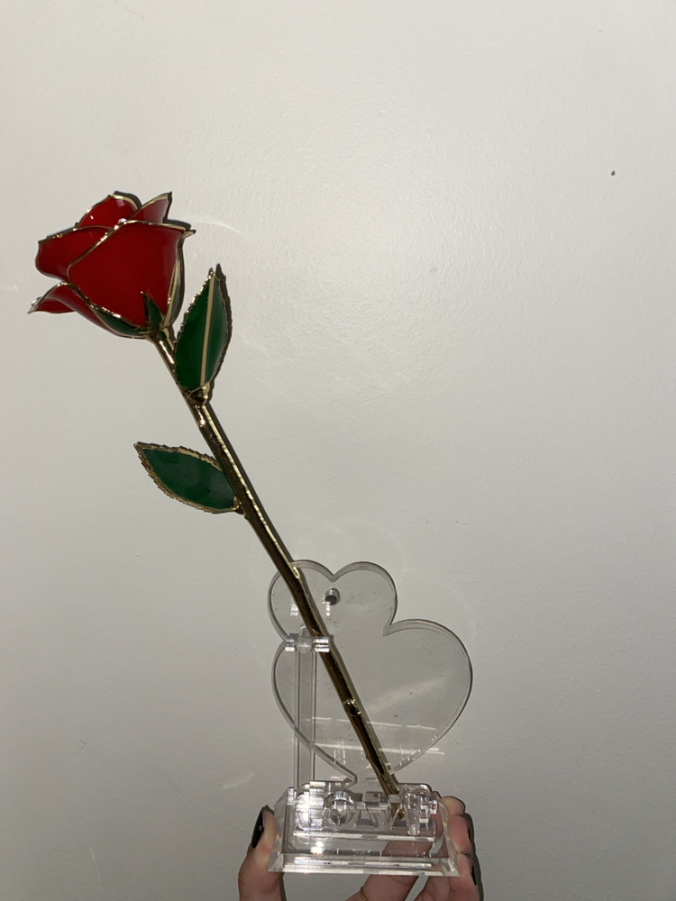 VALENTINES DAY Rose Heart Picture Holder