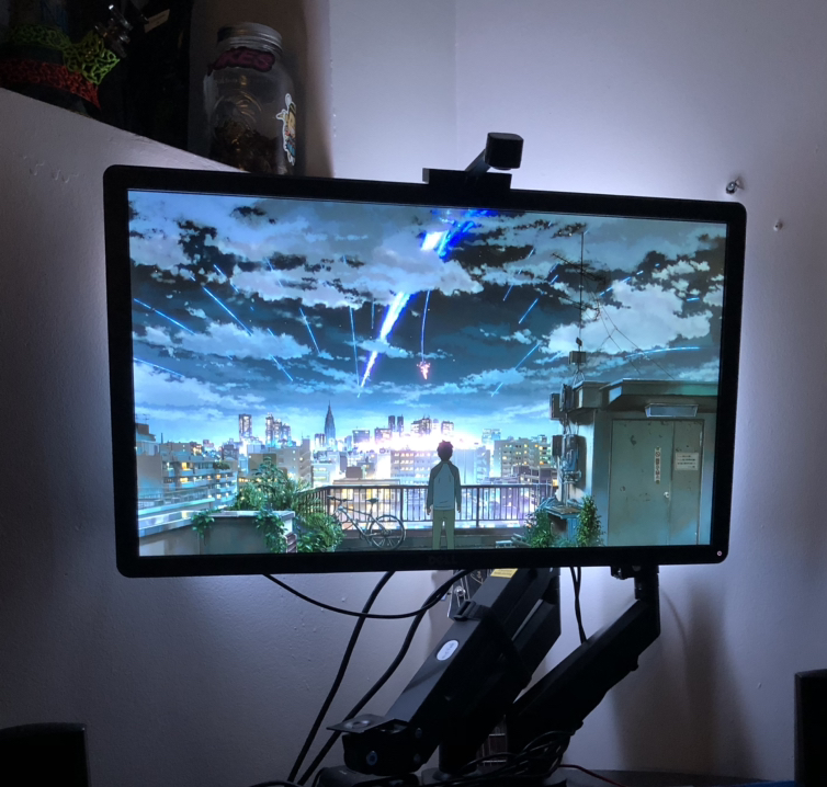 Dell 1080p 60hz Monitor + lights & stand