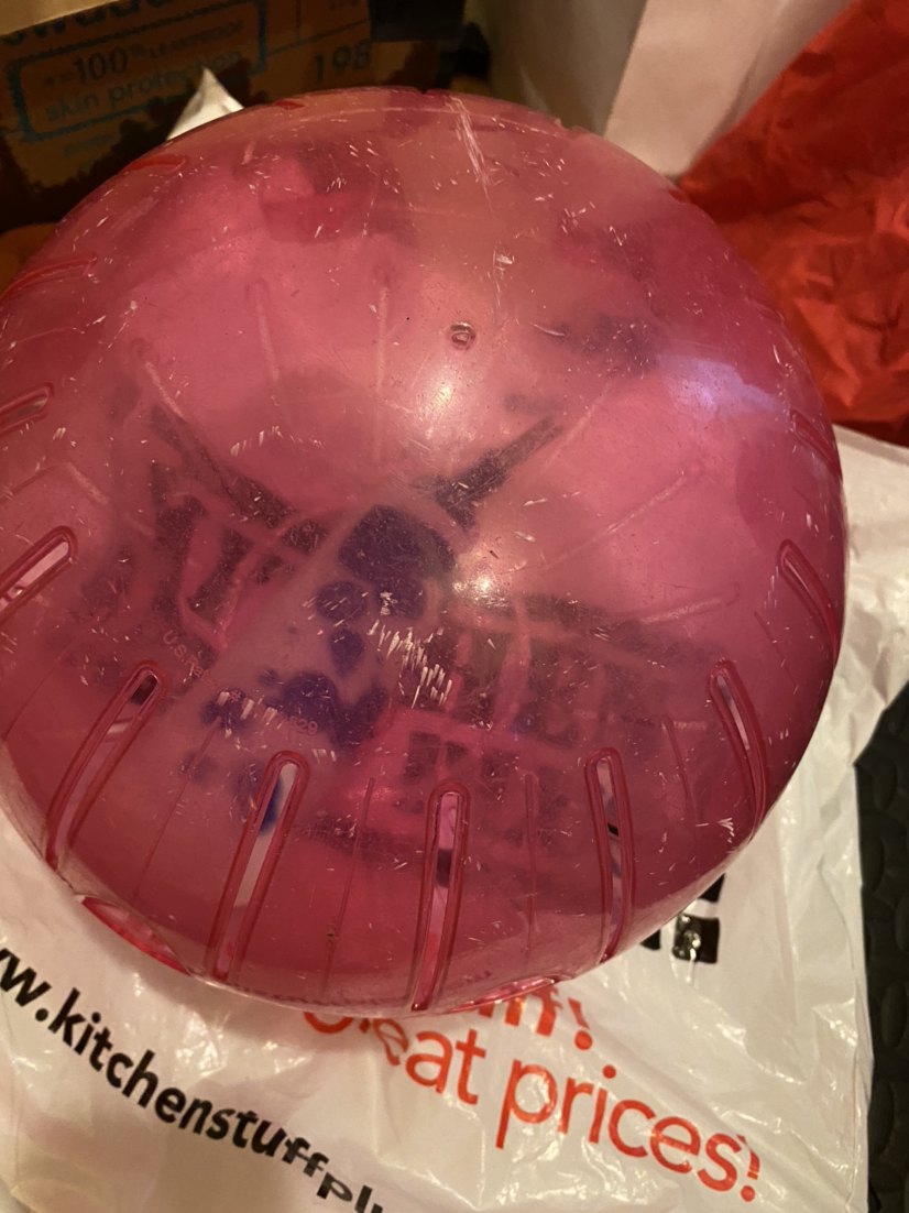 Kaytee Run-About Exercise Ball PINK  for small rodents image indicator(2)