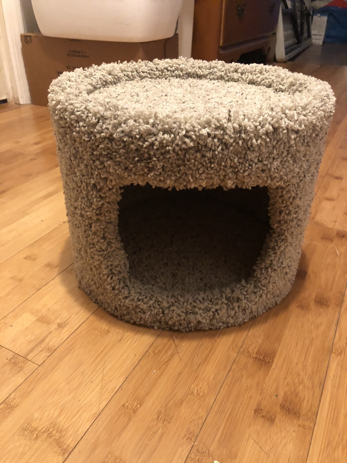 EveryYay Secret Hideout Small Cat Condo with Hideaway