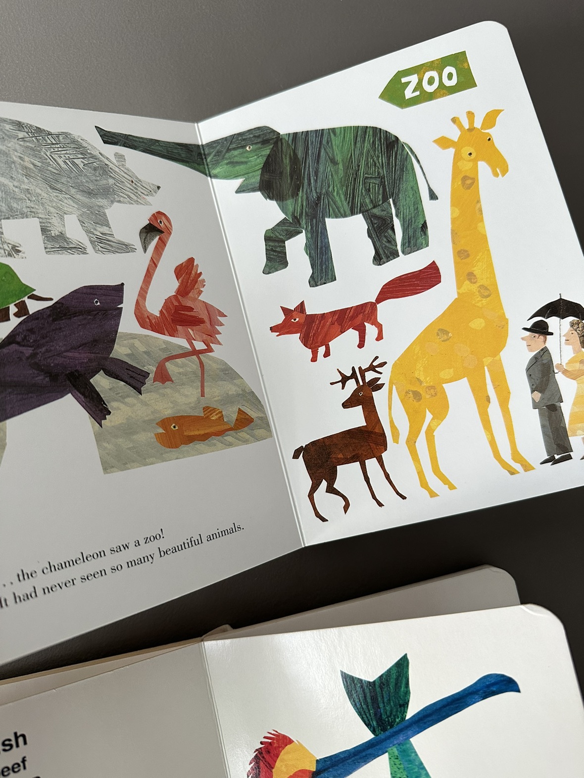 5 popular children’s board books by Eric Carle image indicator(4)