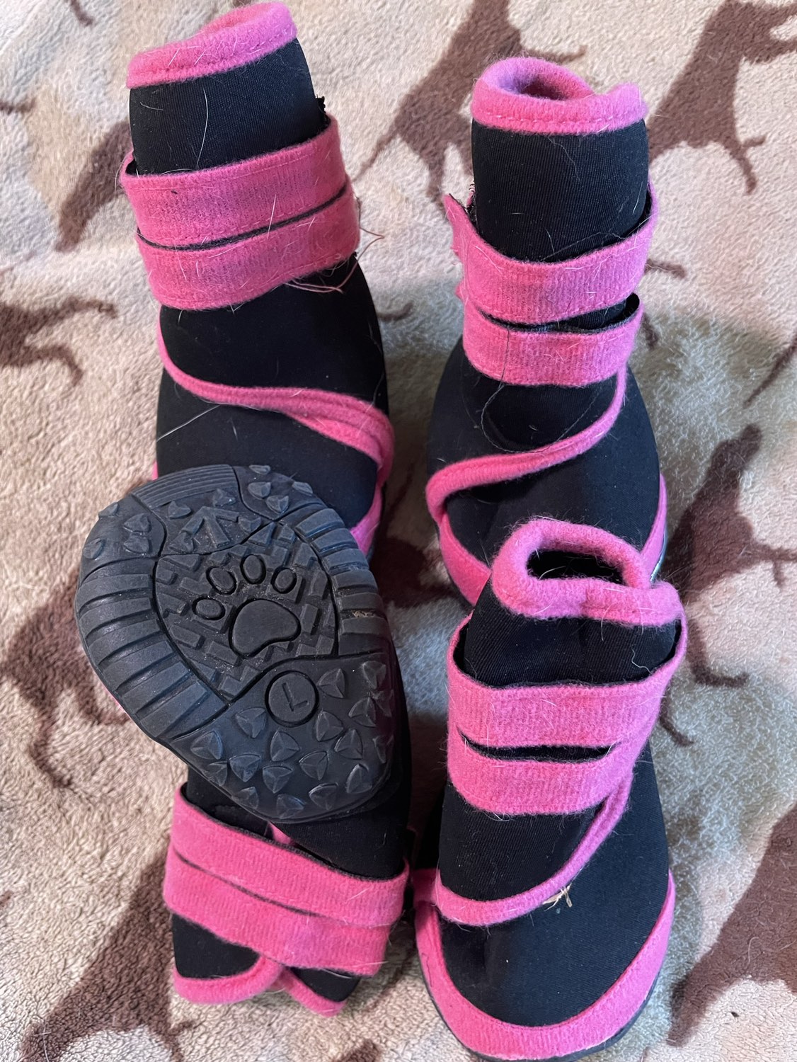 Dog booties image indicator(4)