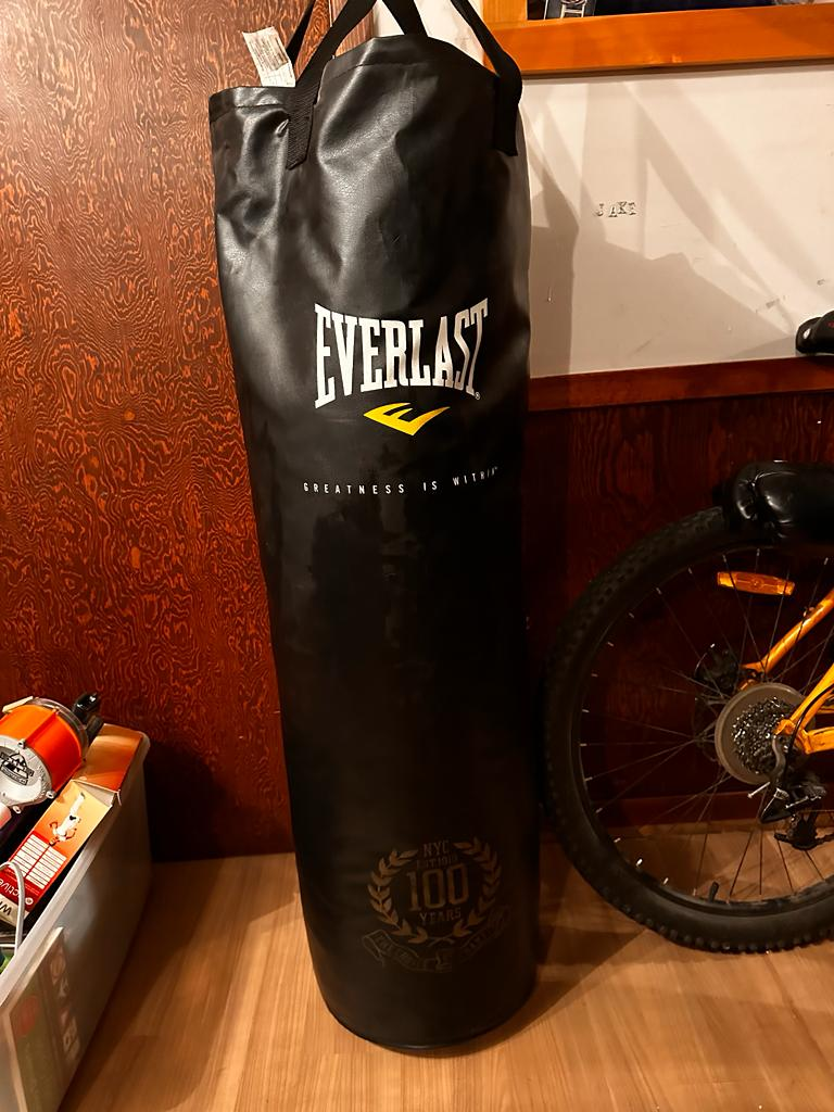Everlast Boxing bag and gloves thumbnail
