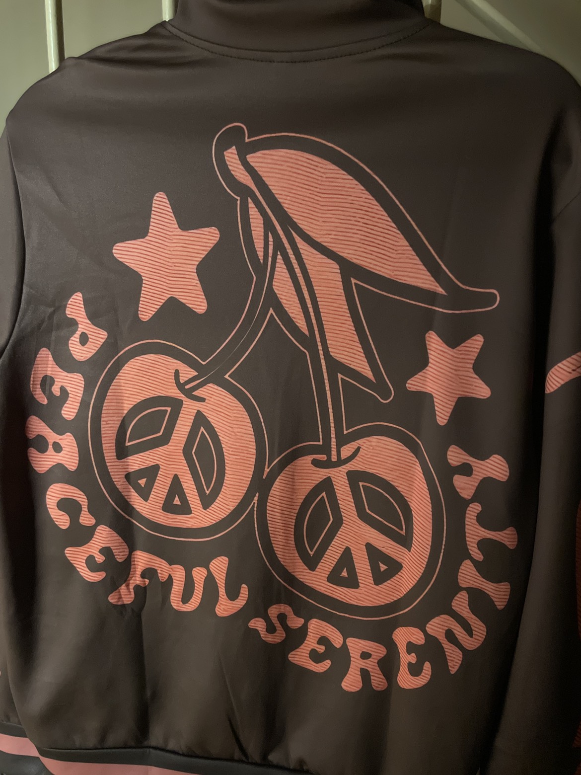 Brown Jacket Cherries and Stars Varsity Jacket - photo 3