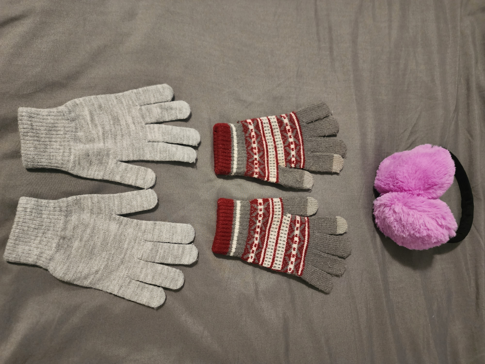 Gloves & Ear Muffs