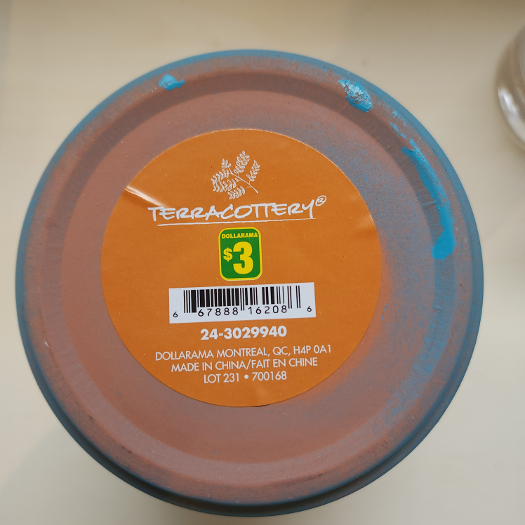 blue plant vase image indicator(3)