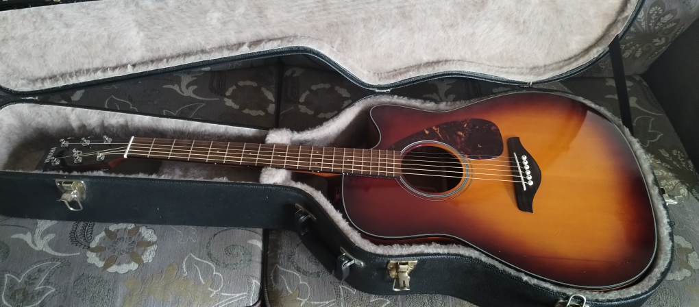 Guitar Hard case - photo 3