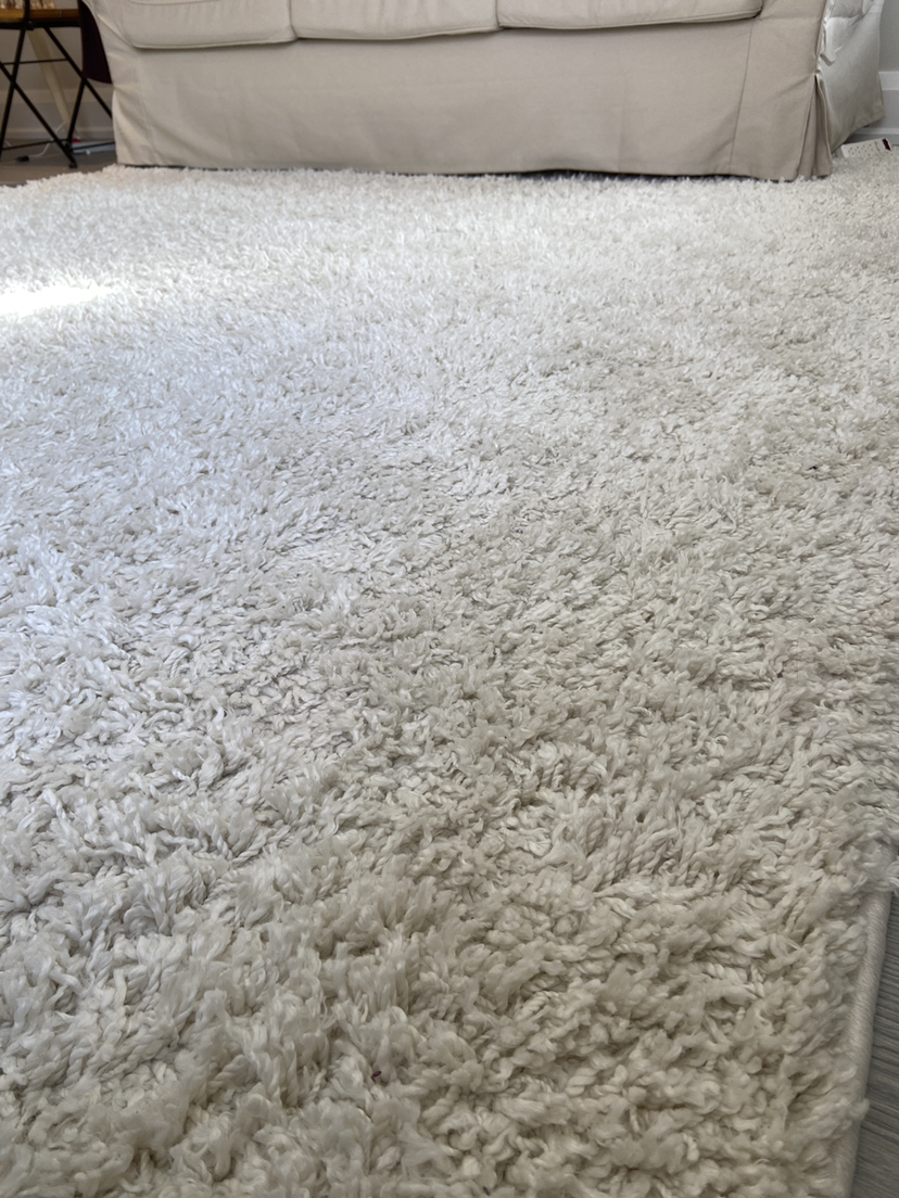 Moving sale Shag RUG 8’x10’ image indicator(4)