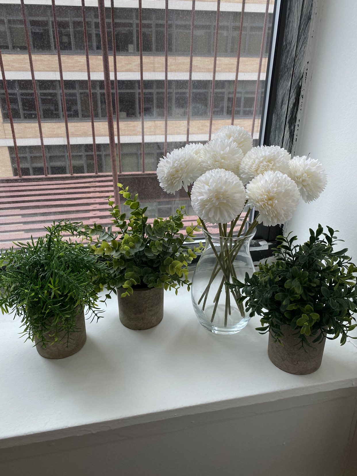 Assorted plants as shown