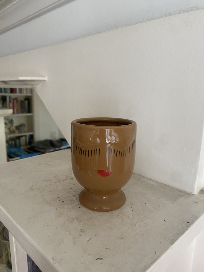 🥕Wee plant pot 👁👄👁 thumbnail