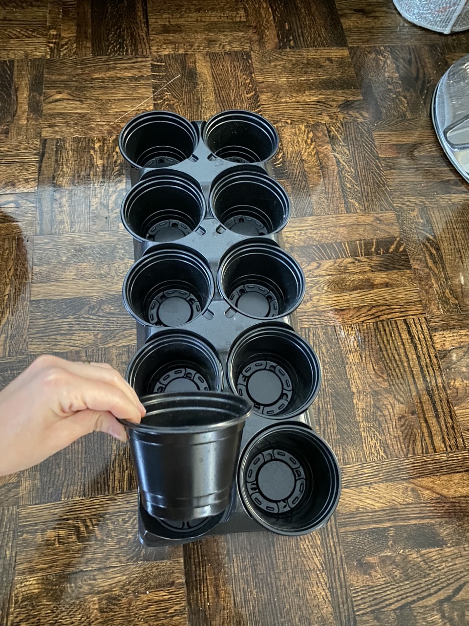 #freecycle 10 small pots
