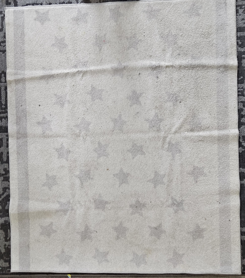 **MOVING SALE!!!** 54 Inches By 64 Inches Rug #freecycle