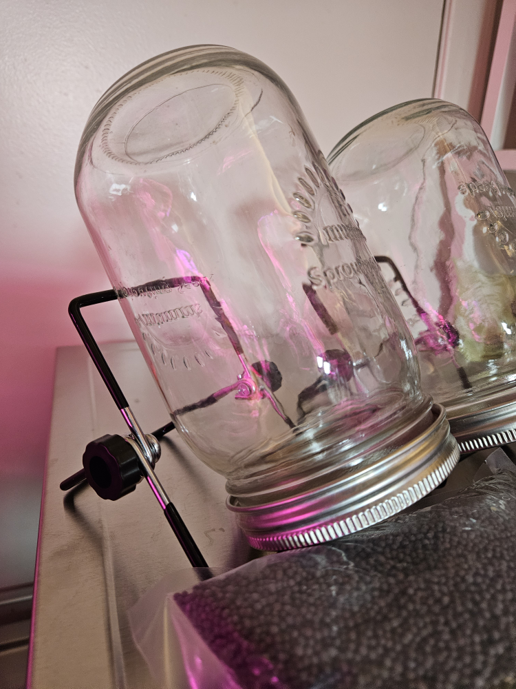sprouting jars and seeds - photo 2