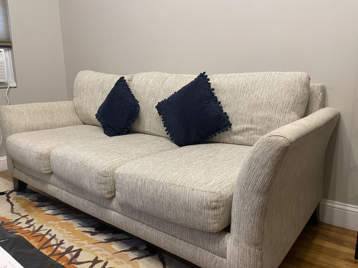 Super comfy couch with two pillows