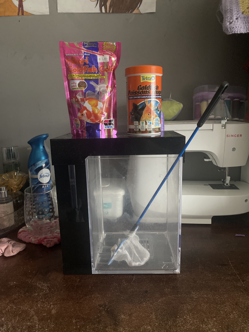 ❣️Fish tank and accessories❣️ thumbnail