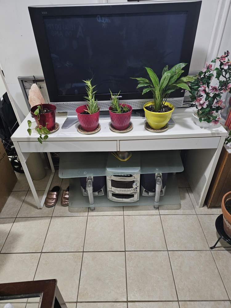 desk