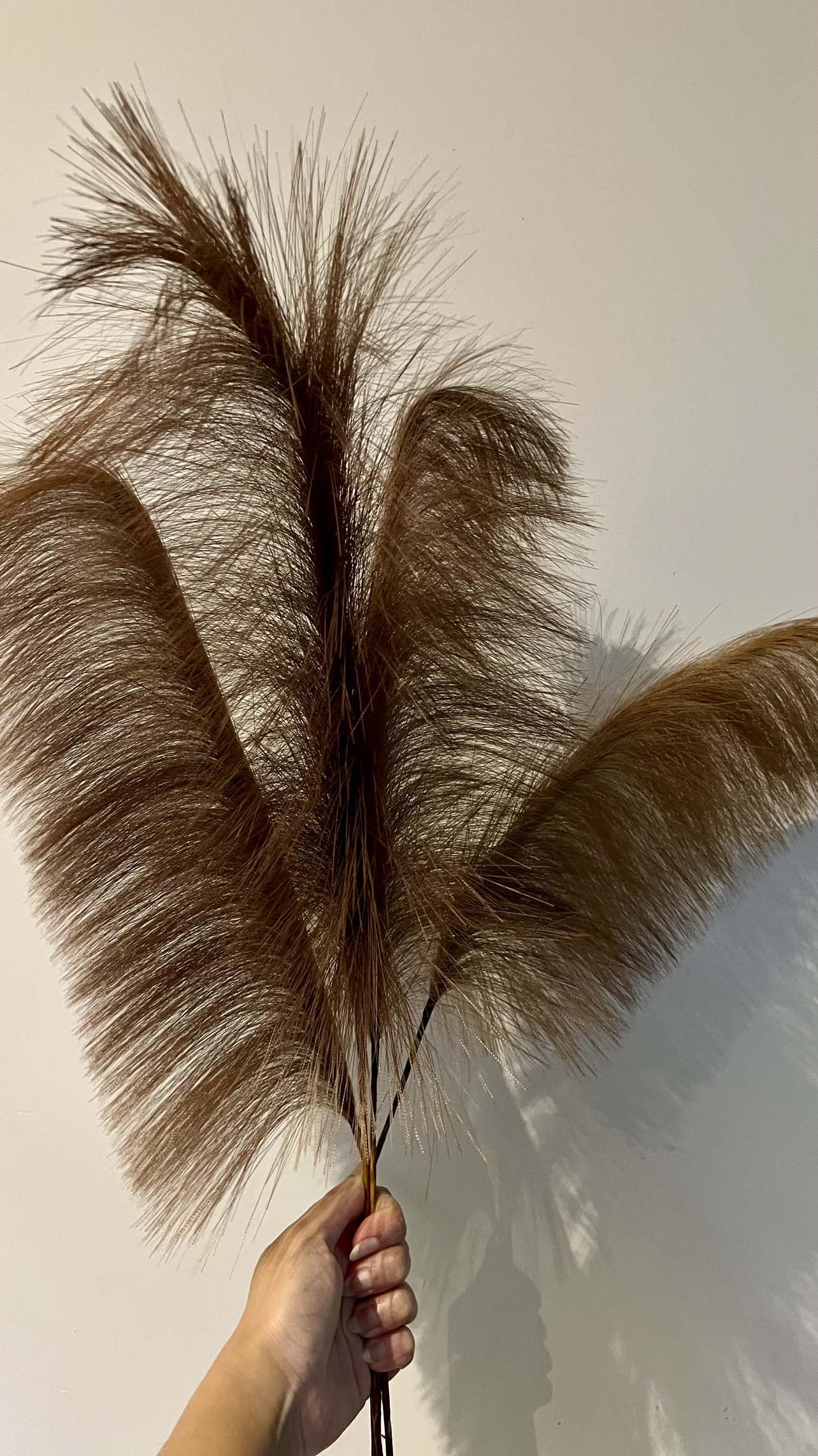 Faux pampas fluffy plant for home decor thumbnail