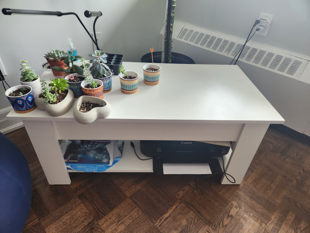 Modern Wood Lift Top Coffee Table