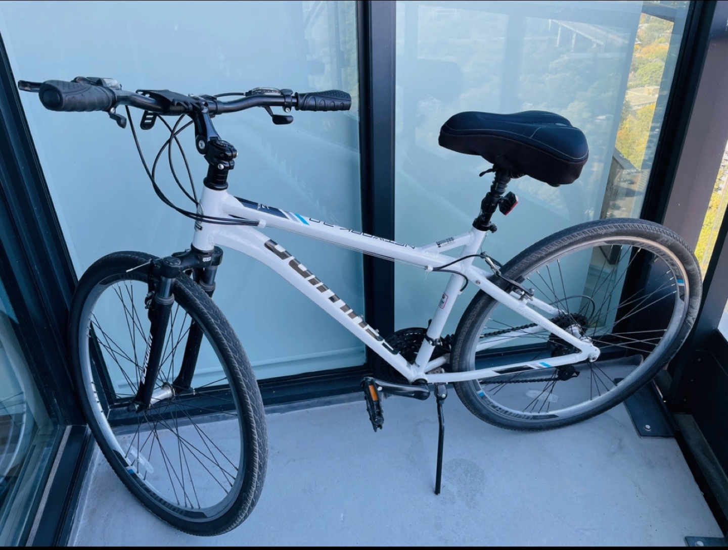Schwinn Hybrid Bike (medium size)