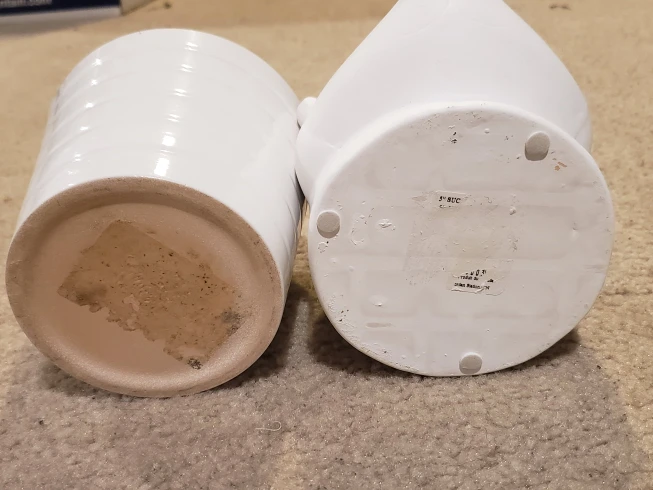 planters $3.00 & bear $5.00 image indicator(2)