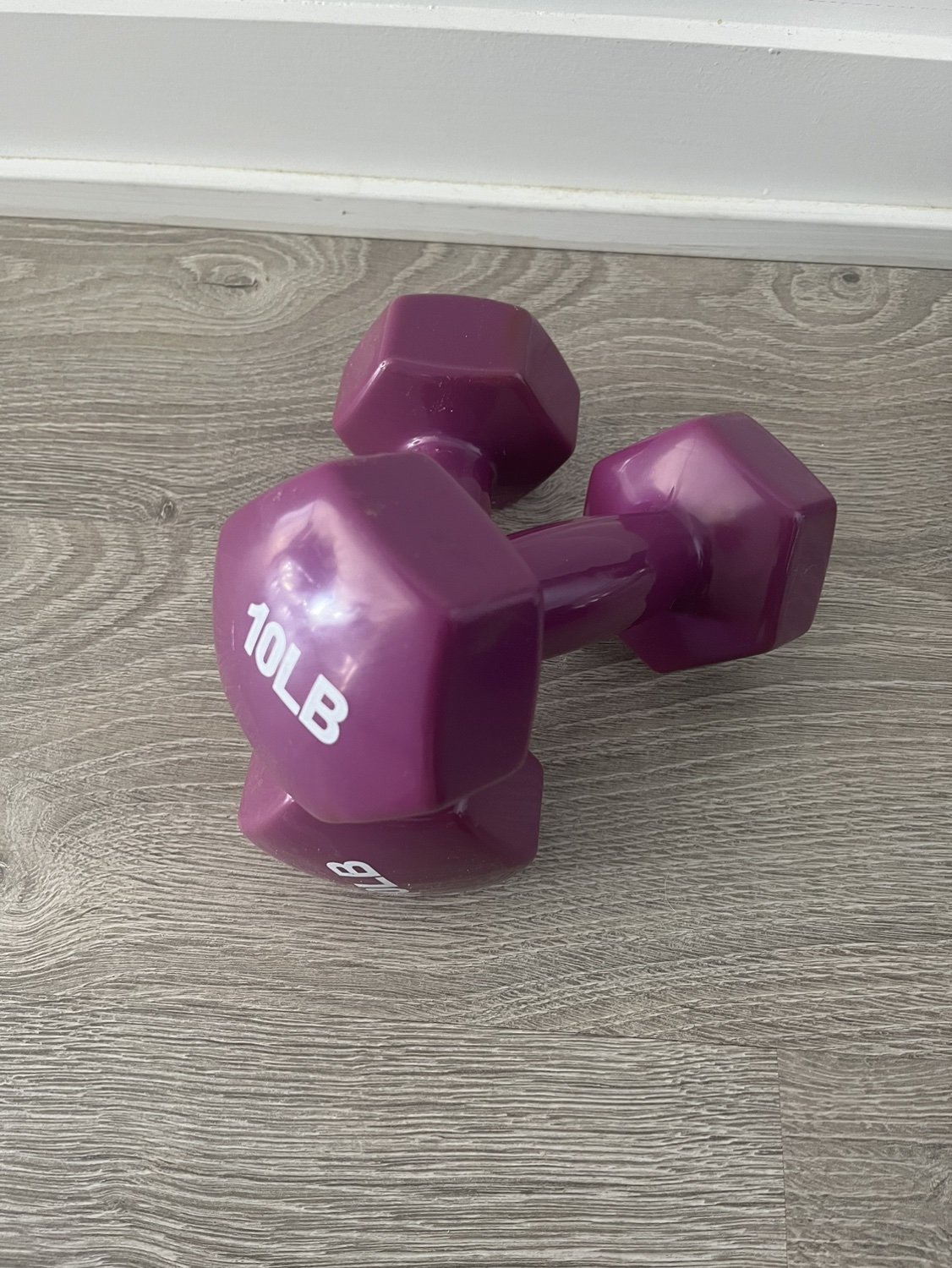 10 LB Dumbbells