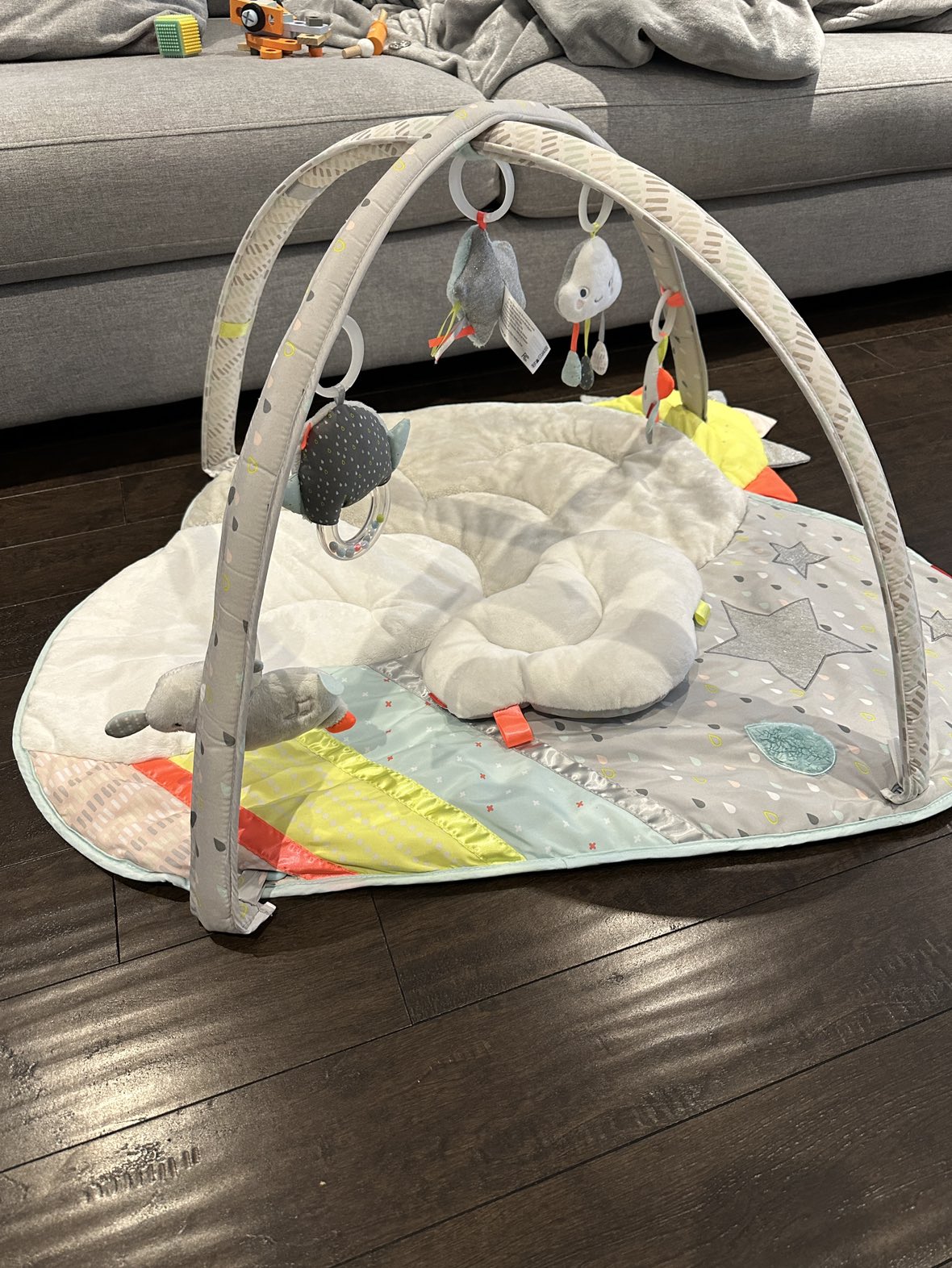 Skip Hop Silver Lining Cloud Activity Gym image indicator(9)