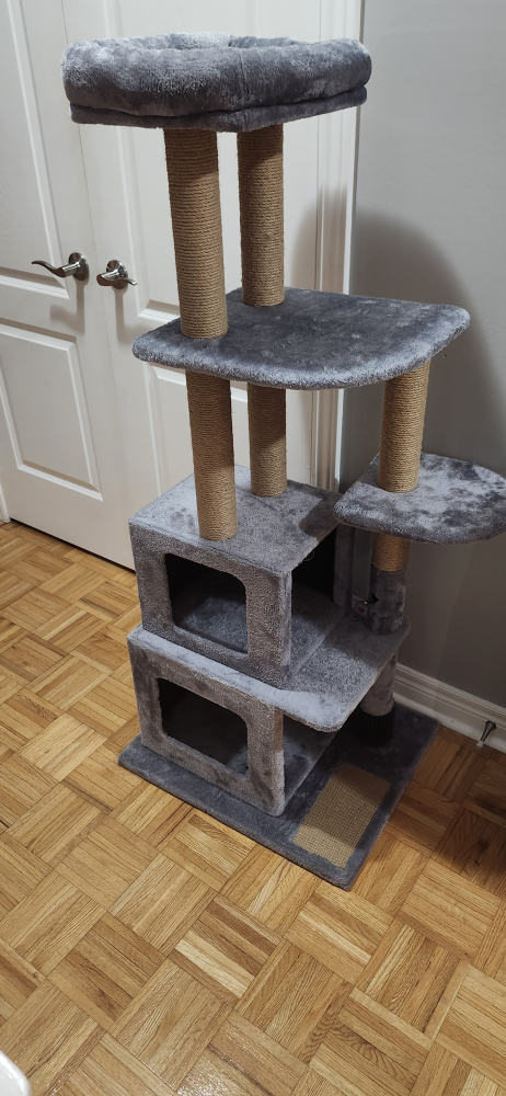 Catry 5 Level Cat Tree and Condo