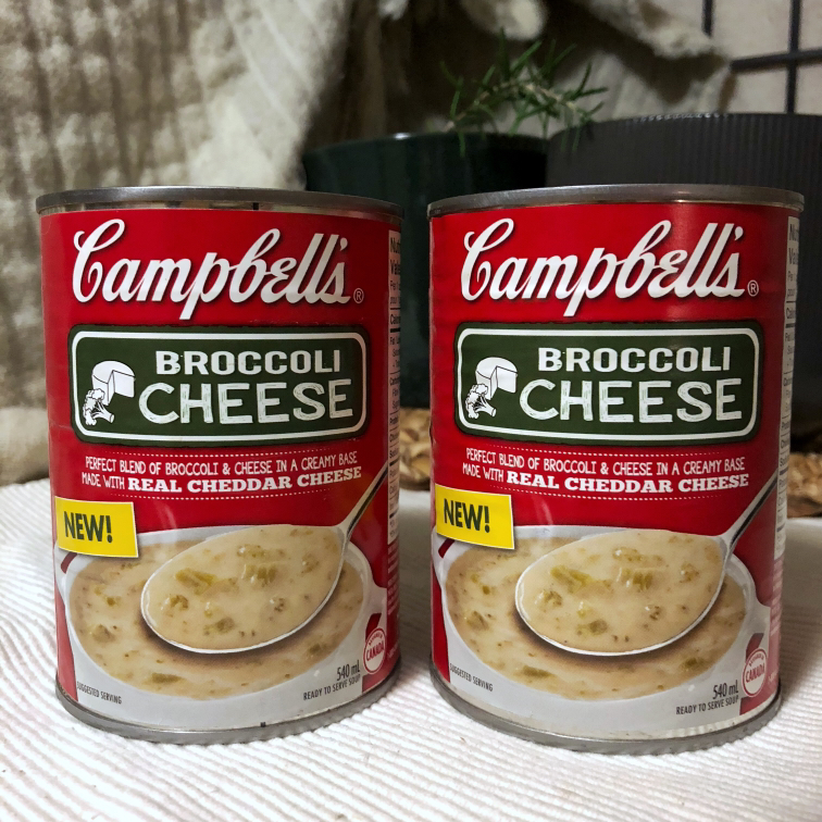 Broccoli and Cheese Soup