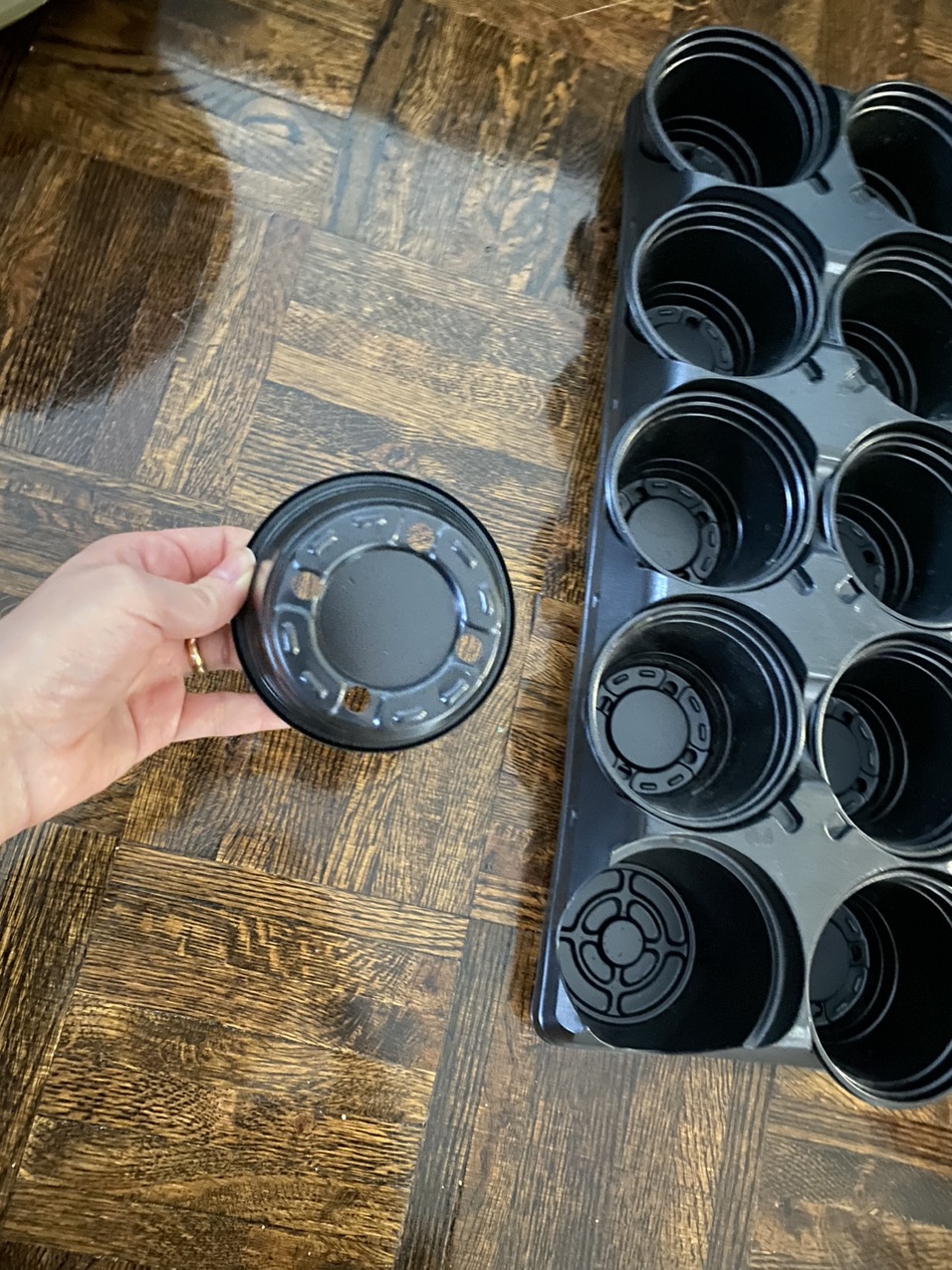 #freecycle 10 small pots - photo 2
