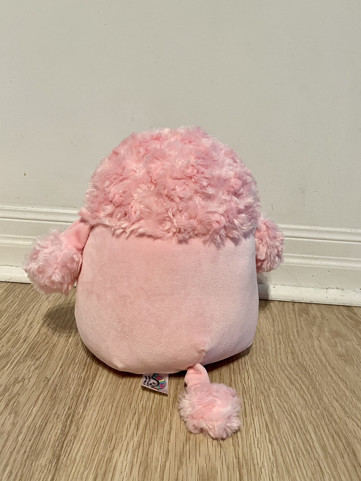 Poodle squishmallow image indicator(2)