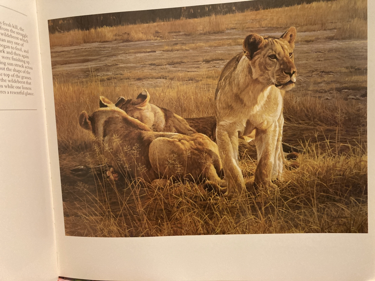 🥕FREE🥕 Artist Book image indicator(2)