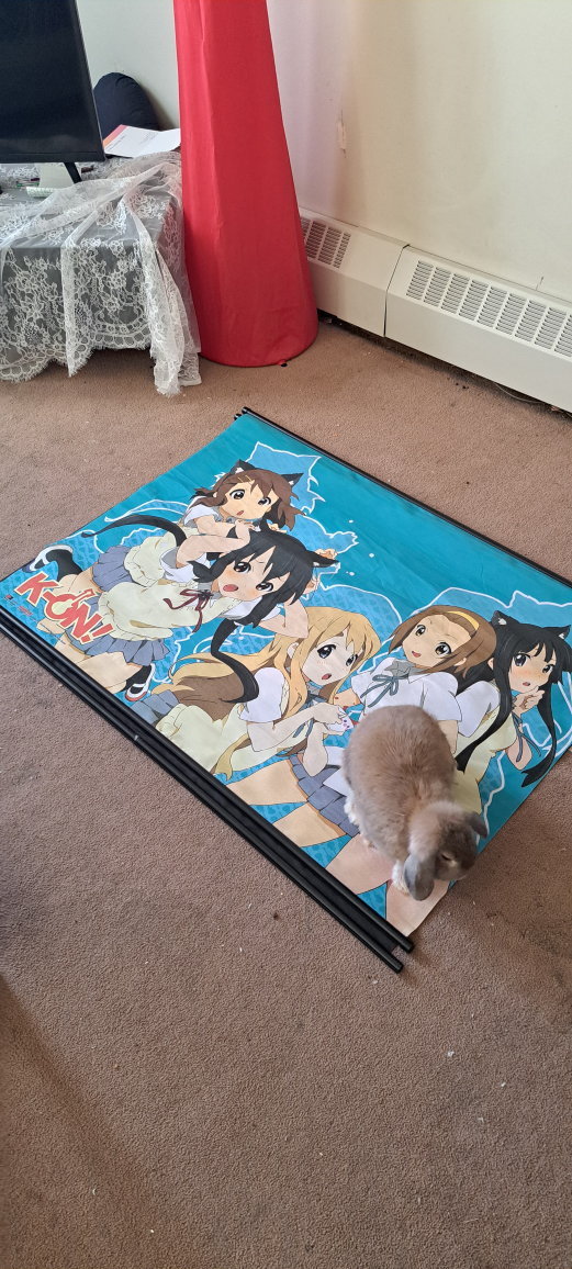 anime wall scroll