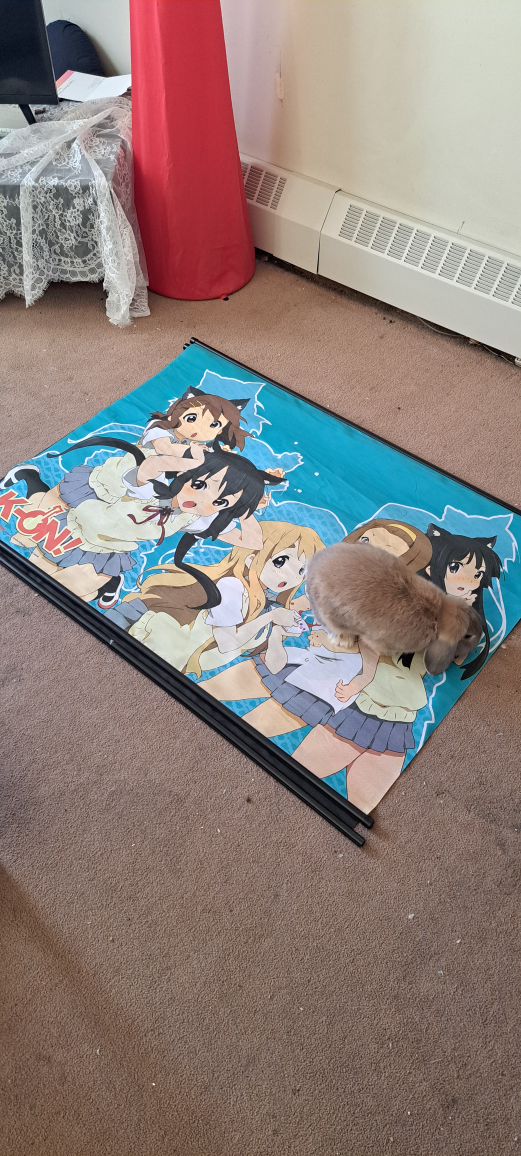 anime wall scroll - photo 2