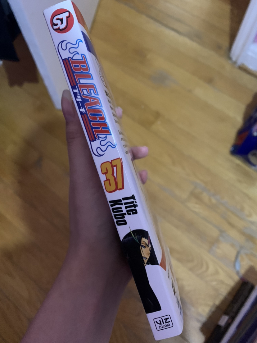 Bleach #37 Manga image indicator(3)