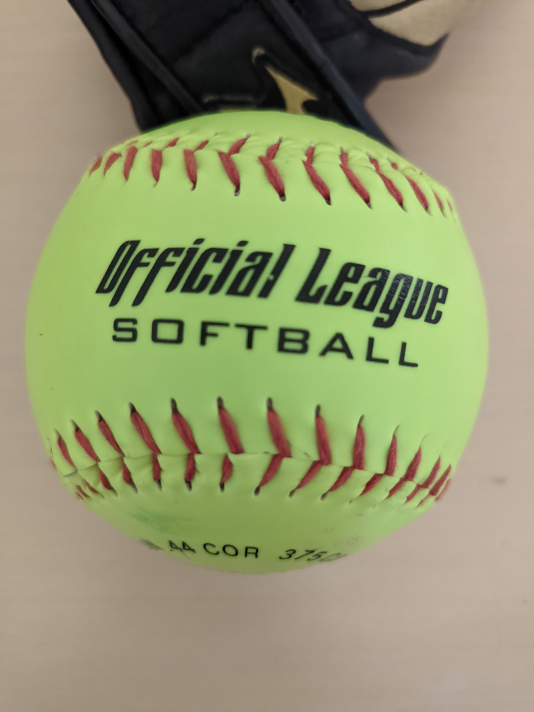 Softball/baseball glove kids 🥕 image indicator(7)