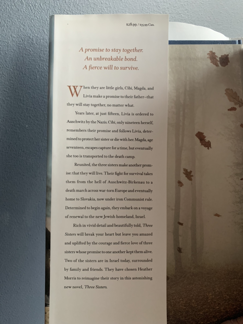 Three Sisters image indicator(3)