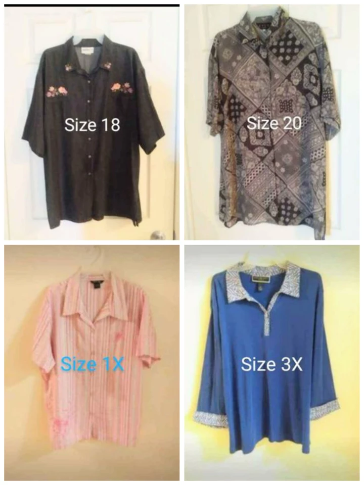 Women's Assorted Clothing (Size: L - Plus) image indicator(5)