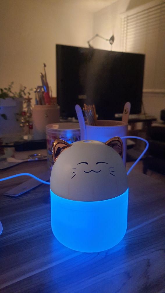 Water Diffuser image indicator(5)