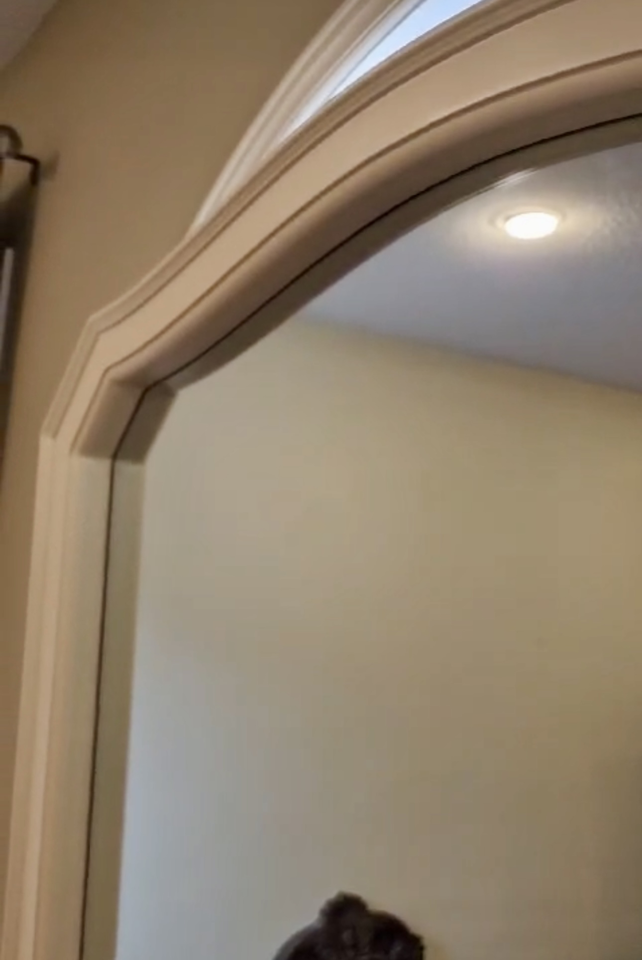 New white mirror image indicator(6)